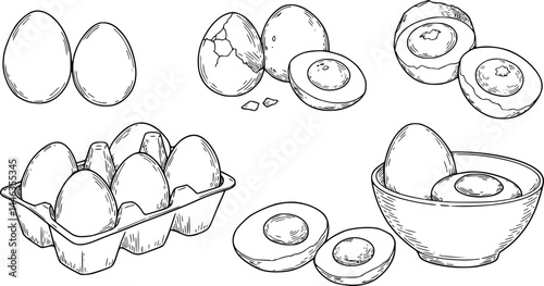 Fresh and boiled eggs, outline icons. Simple engraving broken chicken and quail eggs with cracked eggshell, in cardboard box and in bowl, drawn boiled eggs half and slices vector illustration