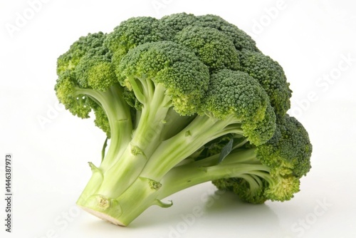 A large green broccoli head sits on a white background