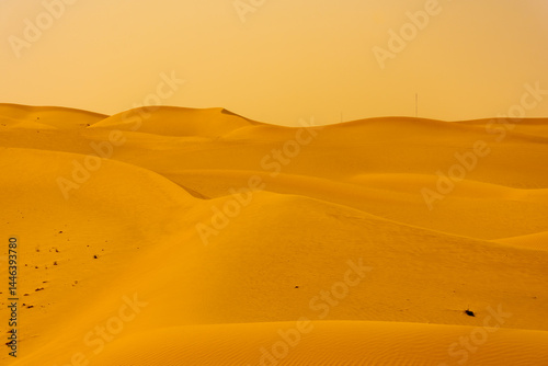Obraz na płótnie Landscape of the Rub Al Khali Desert near Dubai, UAE w salonie