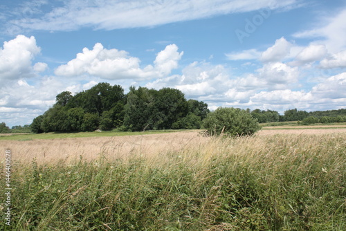 Kashubian hills