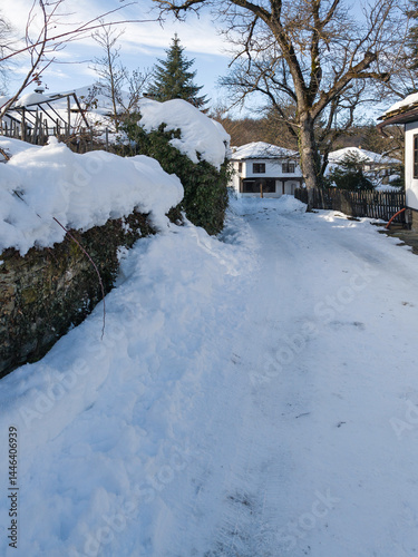 Obraz na płótnie Winter view of village of Bozhentsi, Bulgaria w salonie