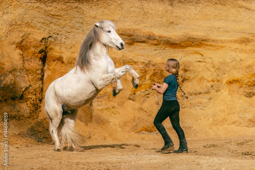 Obraz na płótnie A young woman and her white icelandic horse gelding interacting in a sand pit; horsemanship concept w salonie