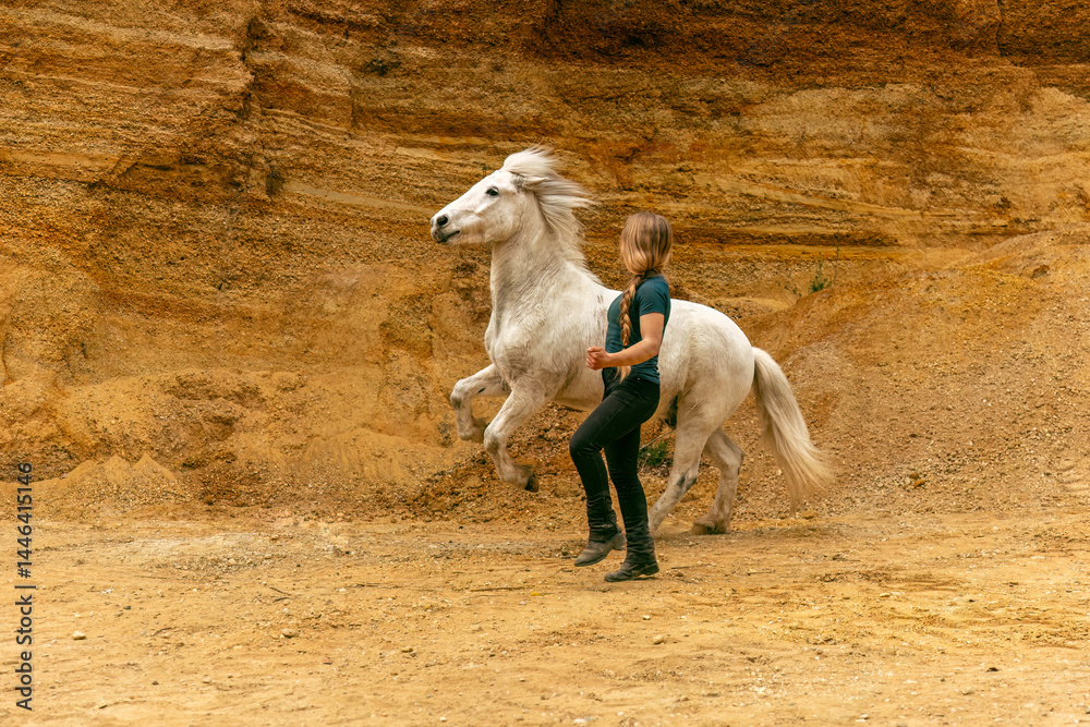 A young woman and her white icelandic horse gelding interacting in a sand pit; horsemanship concept