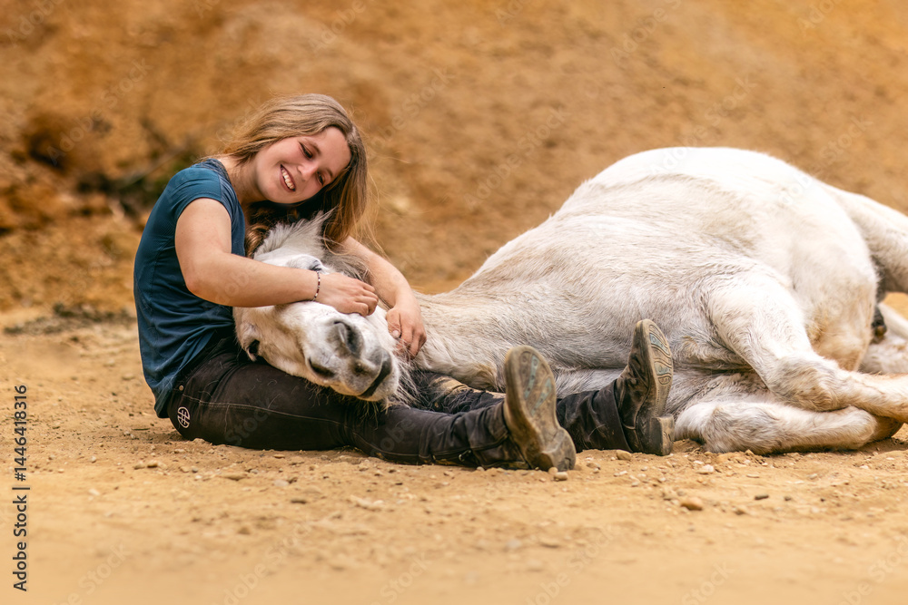 A young woman and her white icelandic horse gelding interacting in a sand pit; horsemanship concept