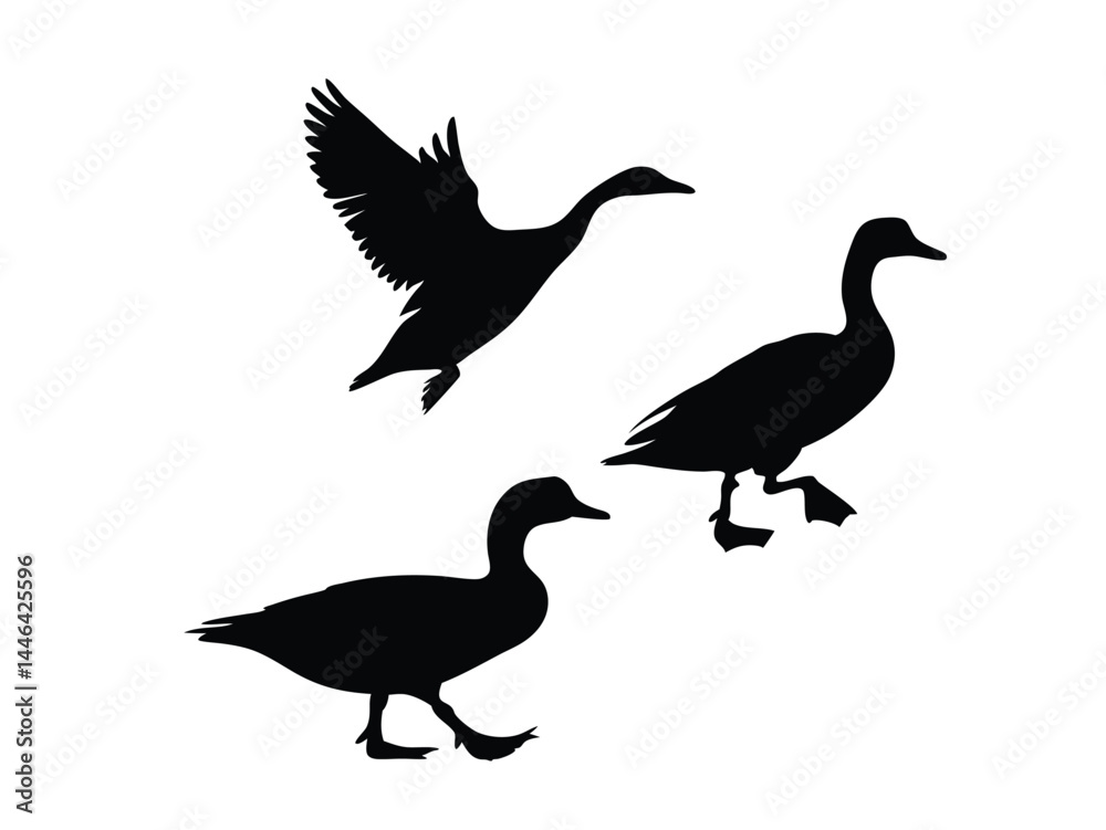 vector silhouette Set of flying geese in nature vector silhouette Set of flying geese in nature