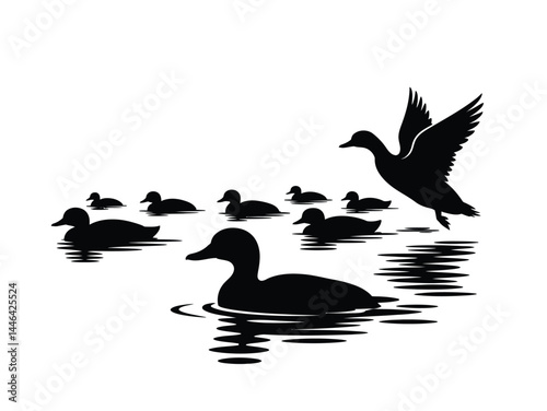 Set of ducks silhouettes in different poses
