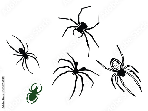 black spider, vector illustration of an arachnid insect in its web