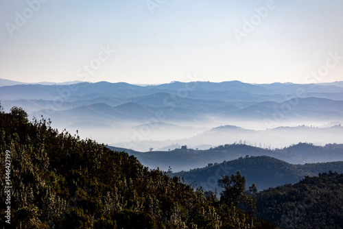 Fog condensation on the mountains
