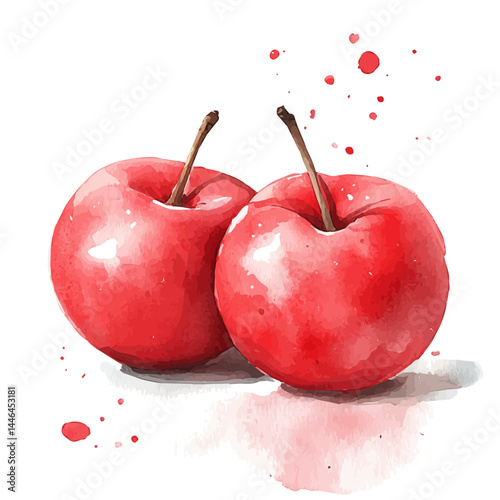 watercolor of Two Nectarines Resting Together, vector, isolated on a white background.