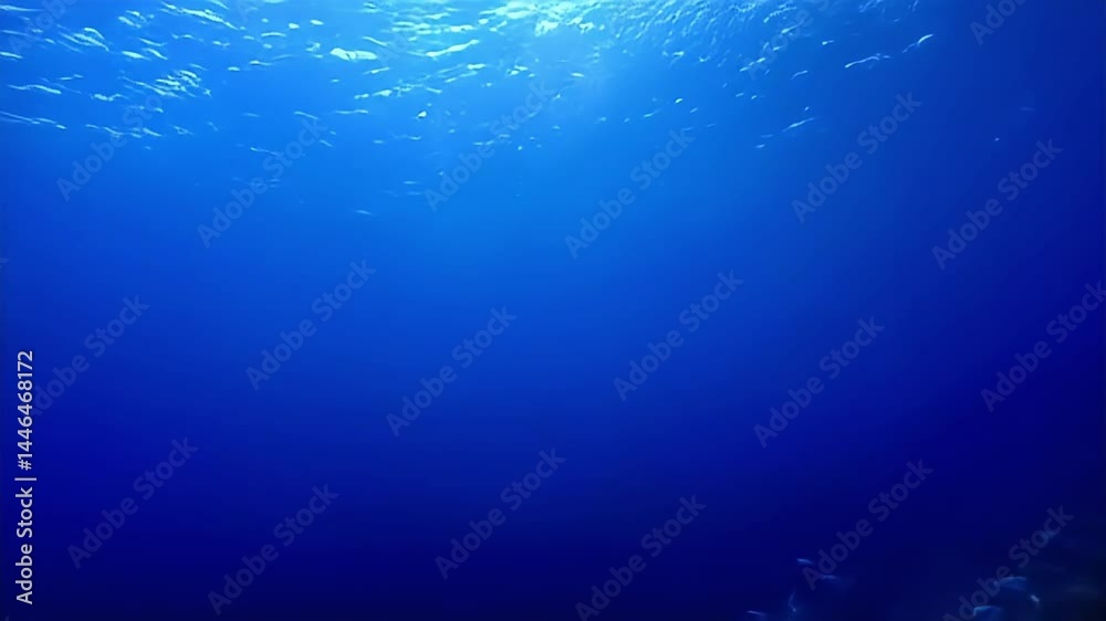 Underwater Ocean Surface Rippling with Sunlight in Dark Blue Water Underwater Ocean Surface Rippling with Sunlight in Dark Blue Water