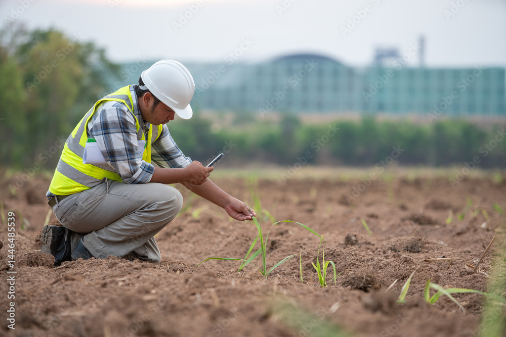 Soil inspection in the Field: A dedicated agricultural inspector in protective gear meticulously examines crops in the sun-drenched field, utilizing advanced technology to assess soil quality.