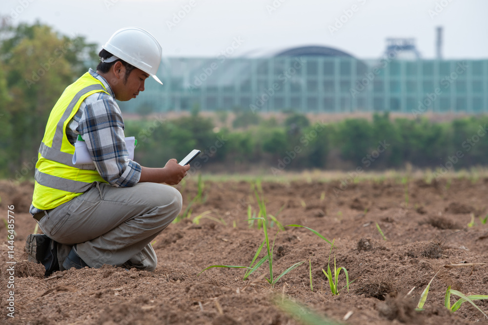 Analyzing the Land: An engineer wearing a hardhat and safety vest carefully examines a plot of land. Capturing precision and diligence.