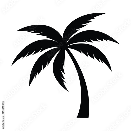 Palm Tree Vector Silhouette on White Background