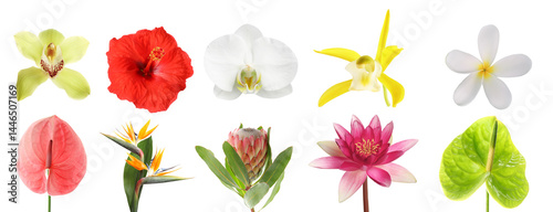 Obraz na płótnie Beautiful tropical flowers isolated on white, set w salonie