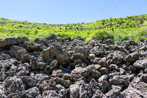 Ancient lava at the bottom of Crater Vent Trail at Capulin Volcano National Monument.