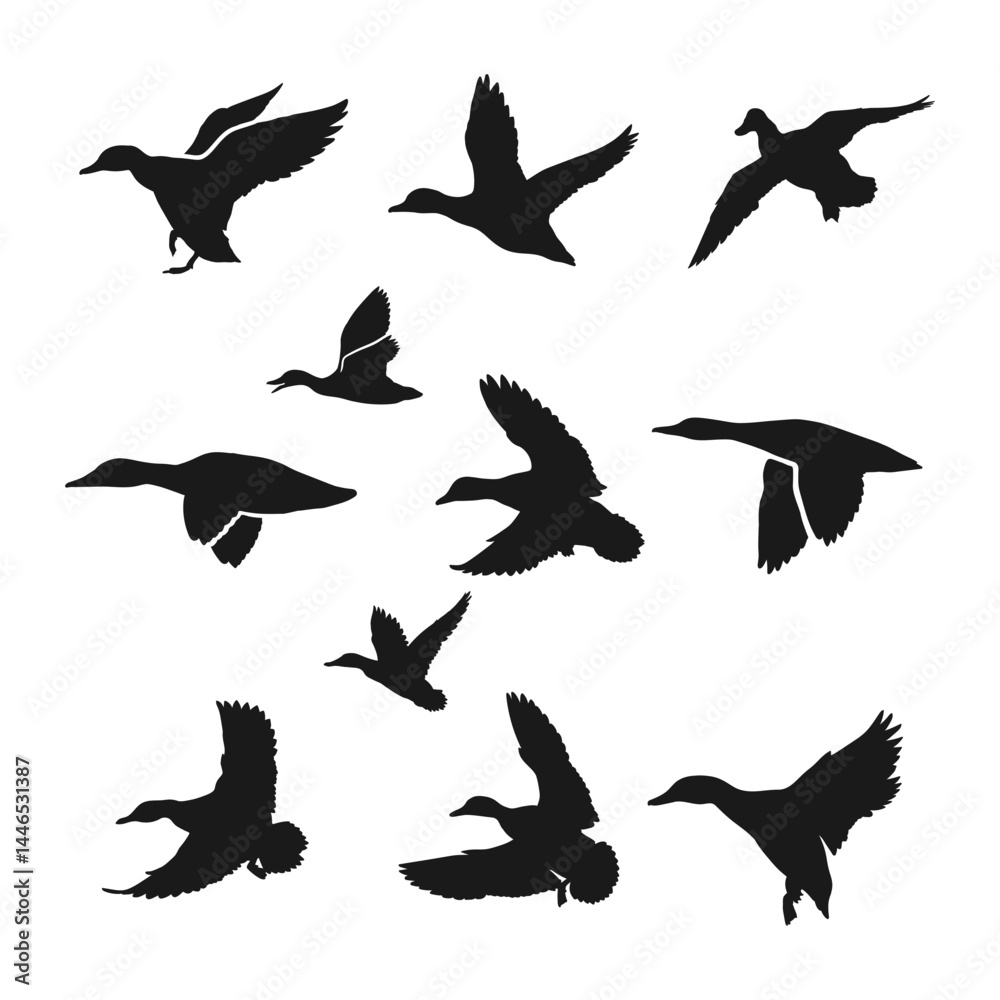 Obraz premium Hand drawn animals silhouette set collection