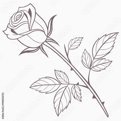 Delicate Rose Flower Line Art With Leaves And Thorns Design Element