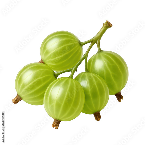 Vibrant green gooseberries on a branch, plump and round, highlighting their fresh, juicy appearance and texture. photo