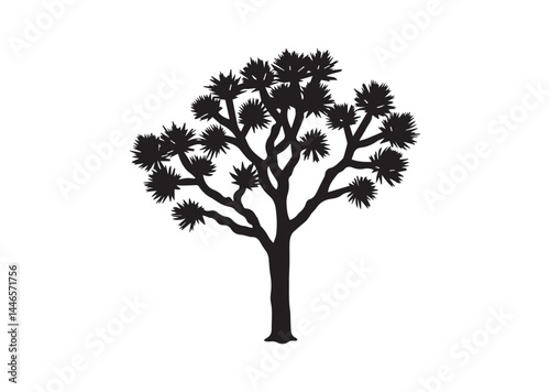 Joshua tree silhouette vector