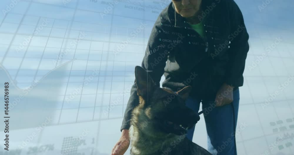 senior woman bending down holding dog leash outdoors, displaying floating data grid analytics