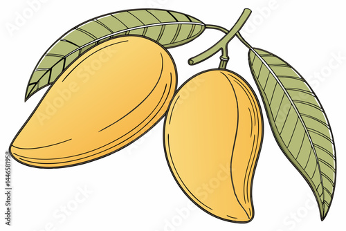 Double whole mango with leaf  isolated on white background