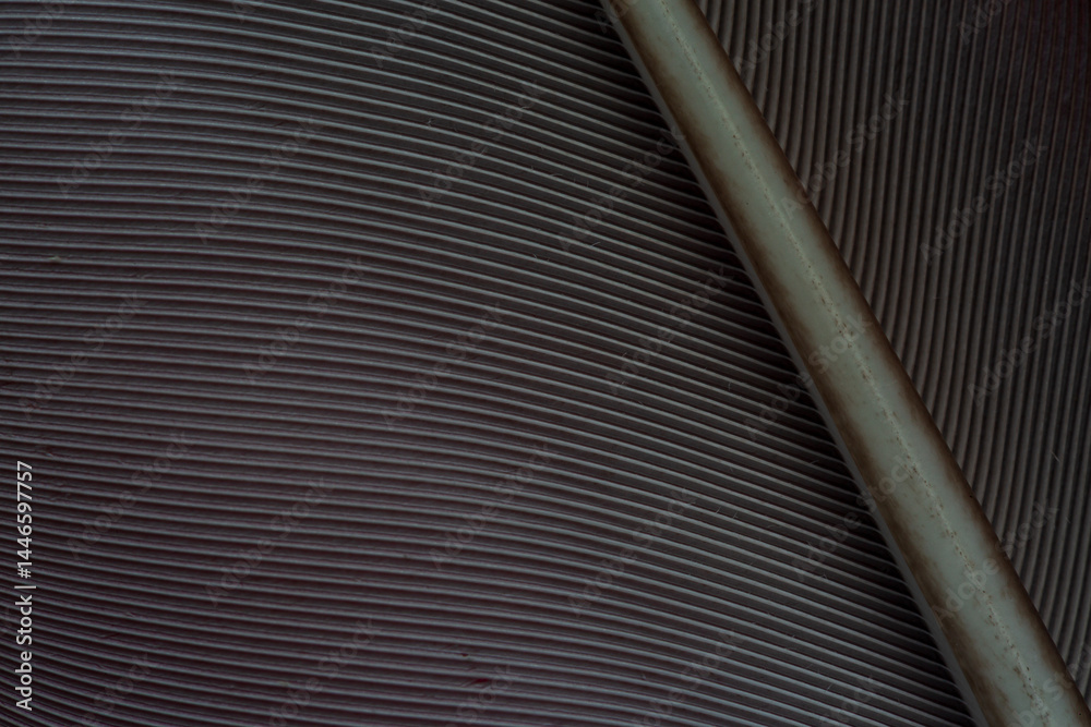 Obraz premium Black feather macro close up,black feather pigeon macro photo. texture or background