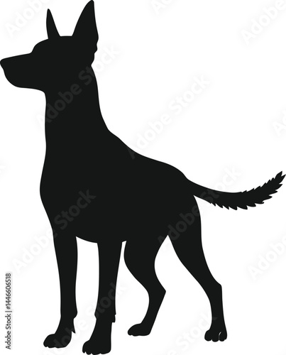Black silhouette of a confident and alert dog with upright ears and bushy tail standing on white background