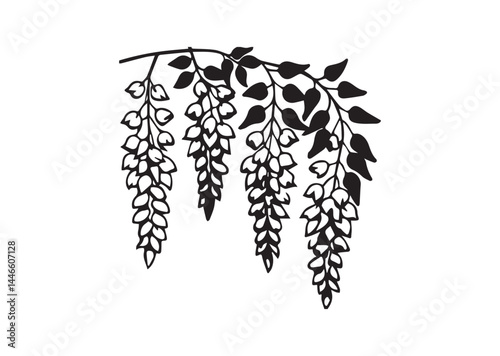 Wisteria flowers silhouette vector