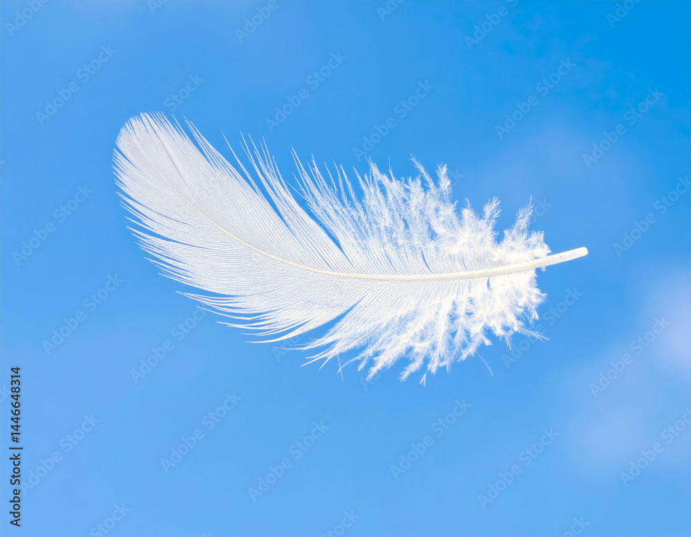 Obraz premium white feather on blue sky background