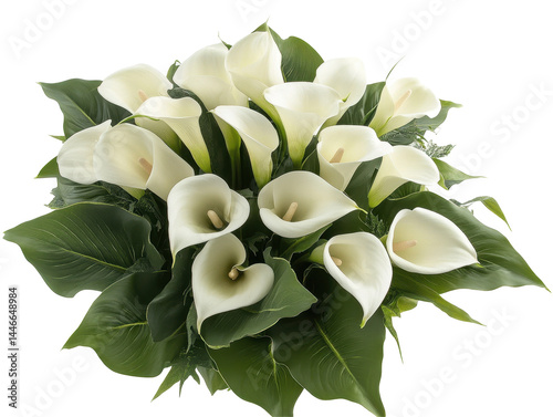 Cluster of white calla lilies with deep green leaves, presented in a decorative bouquet format.  The flowers showcase a beautiful arrangement.
