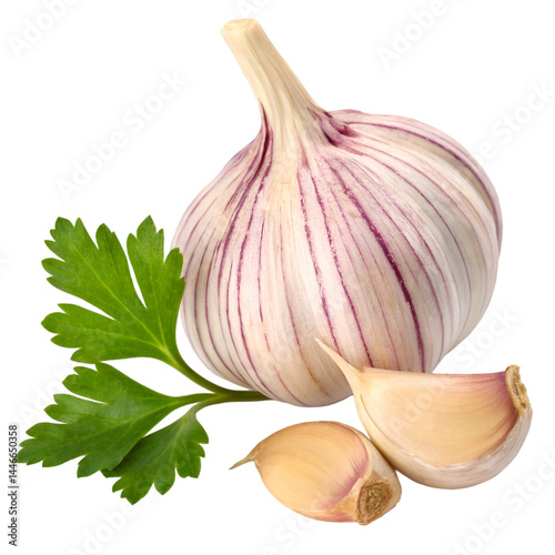 Fresh garlic bulb with purple streaks, a peeled clove, and parsley leaf on the side, detailed and natural, isolated on transparent background.

