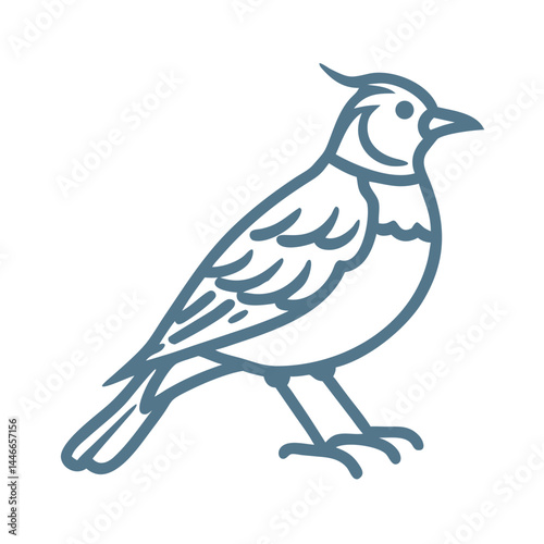 Horned Lark Bird Outline Illustration