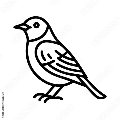 Baltimore Oriole Bird Outline Illustration