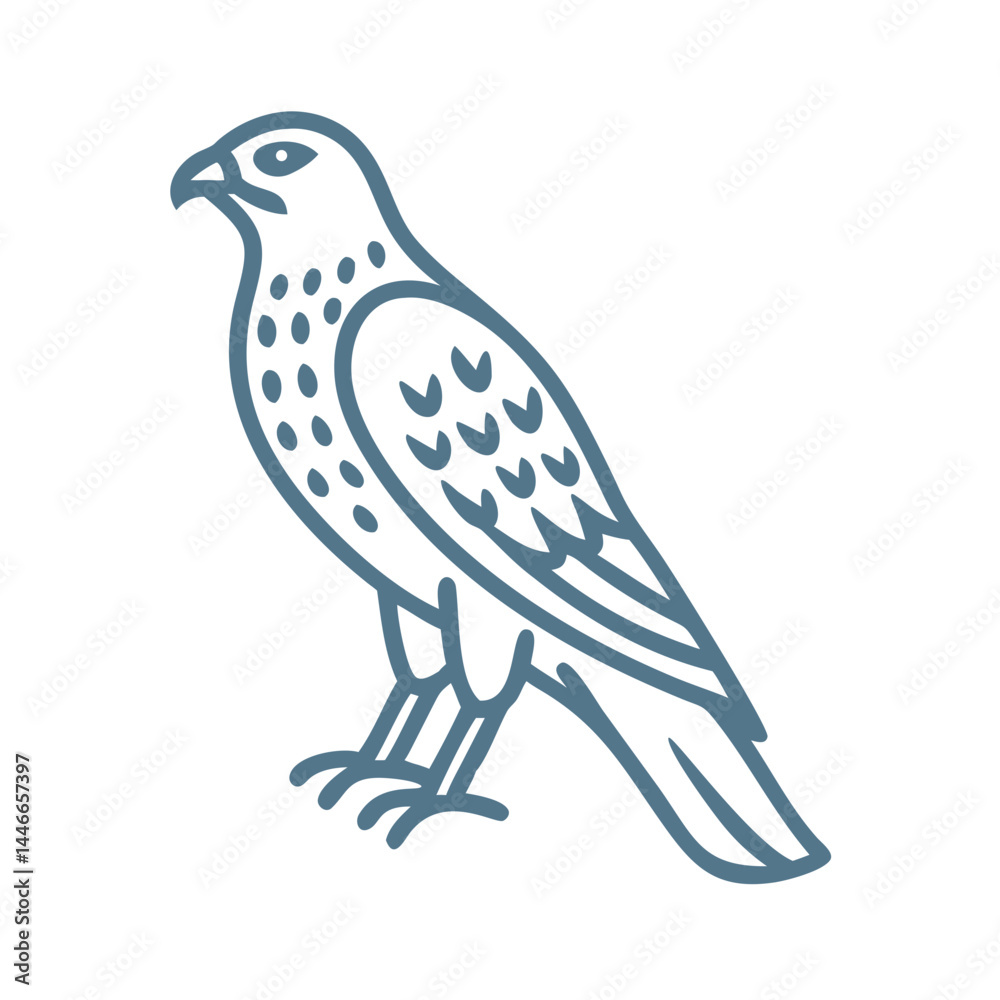 Fototapeta premium Cooper's Hawk Line Art Illustration Vector