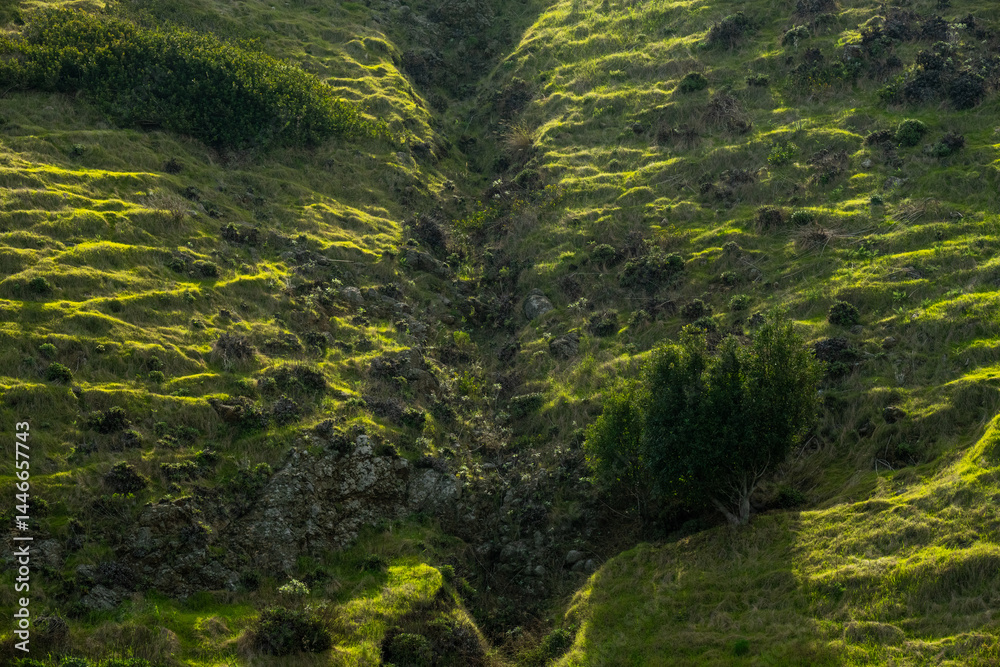 Morning Light Falls Across Textured Lines On Green Hillside