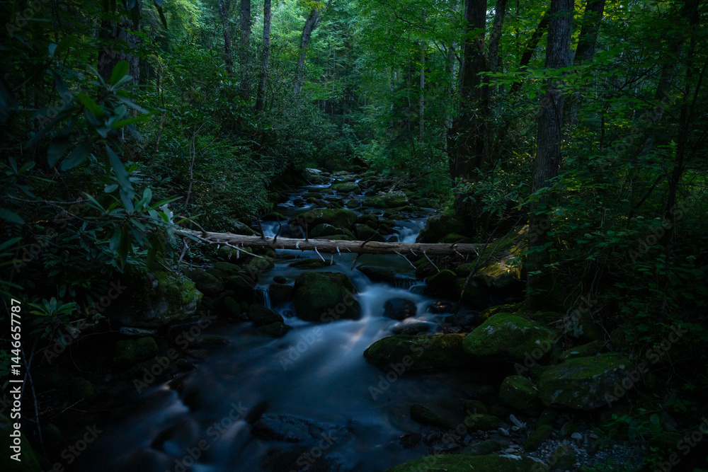 Moonlight Casts Shadows Across Jakes Creek In Summer