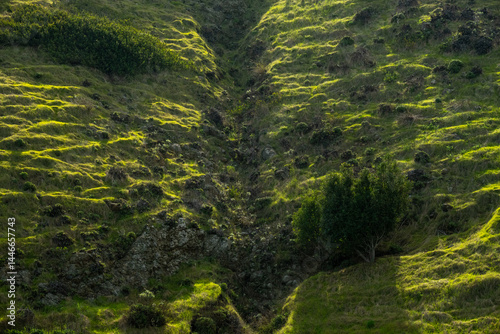 Obraz na płótnie Morning Light Falls Across Textured Lines On Green Hillside w salonie