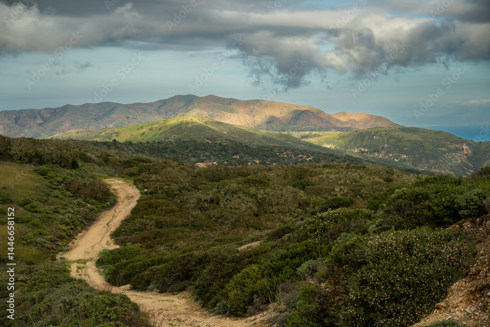 Navy Road Heads East Along Santa Cruz Island