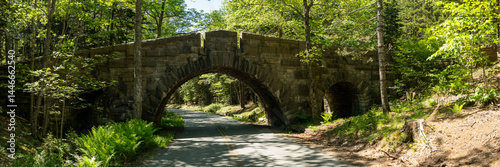 Obraz na płótnie Park Road Passes Under The Arch Of Stanley Brook Bridge In Acadia w salonie