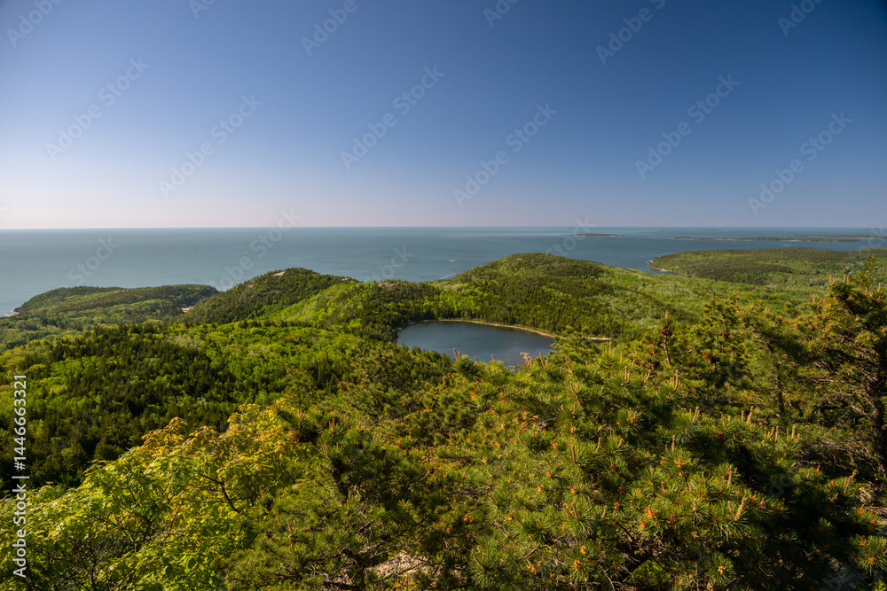 Pond in the Hills Above the Atlantic Ocean on Champlain Mountain