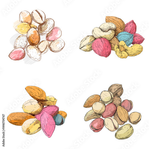 Hand-drawn illustrations of assorted colorful nuts including pistachios, peanuts, almonds. Ideal for snack packaging, healthy food content, and culinary visuals.

