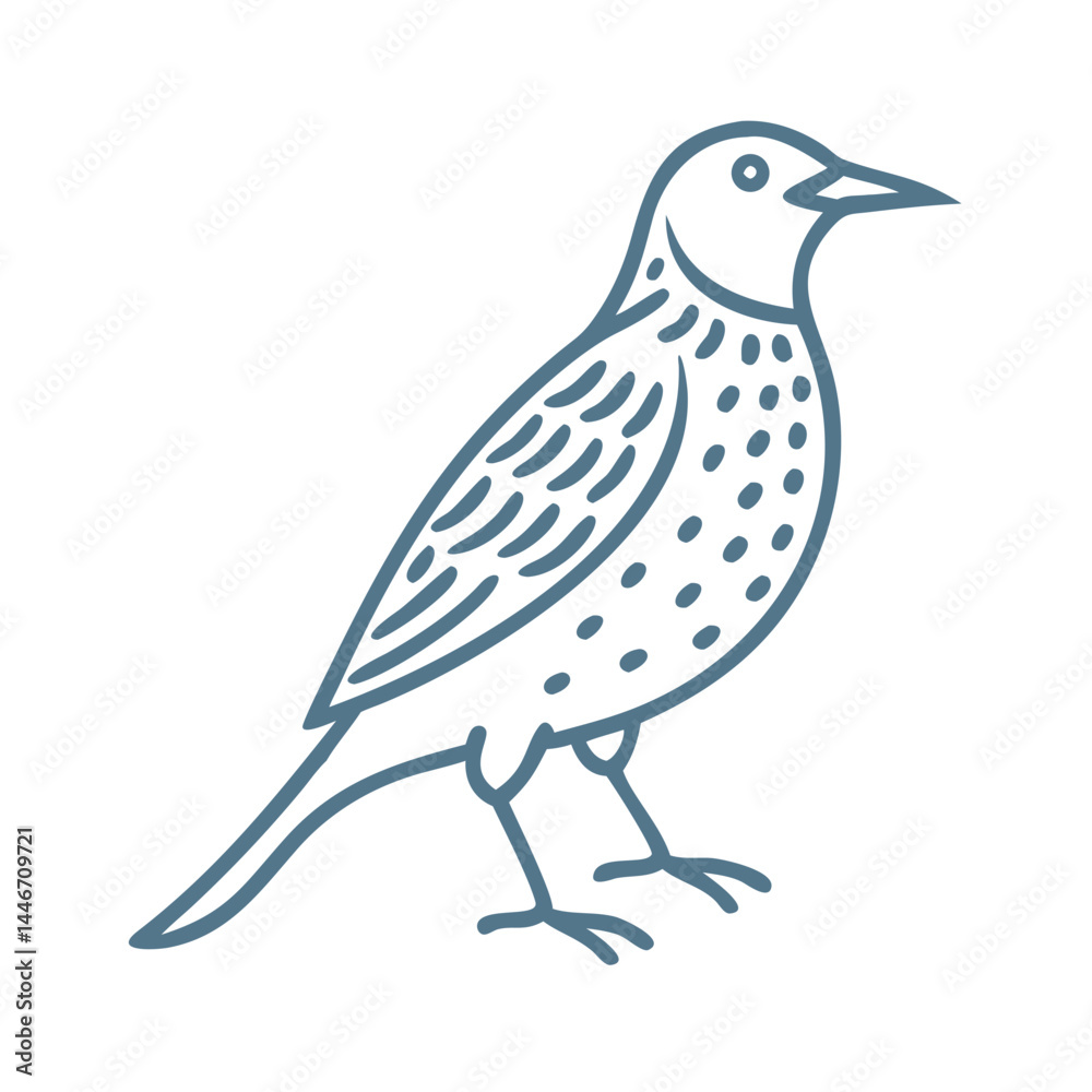 Obraz premium Eastern Meadowlark Bird Line Art Illustration