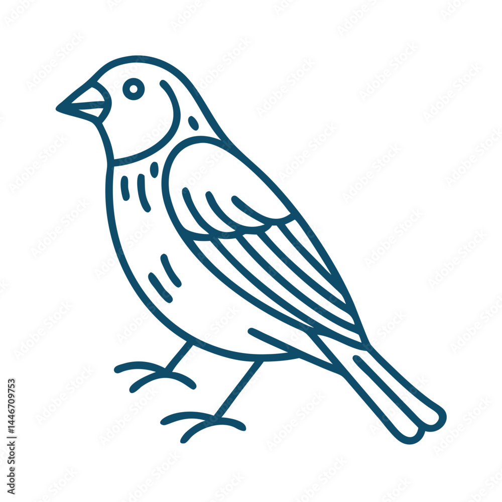 Fototapeta premium Blue Grosbeak Bird Outline Vector Illustration