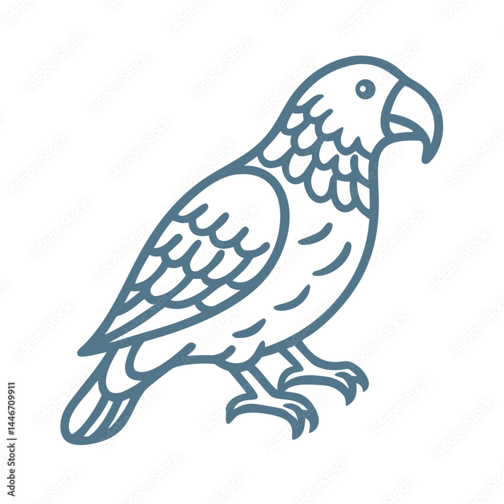 Fototapeta premium Kea Bird Outline Illustration, New Zealand Parrot