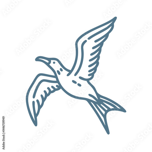 Frigatebird Line Art Vector Illustration
