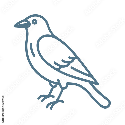 Simple Jackdaw Bird Line Art Illustration