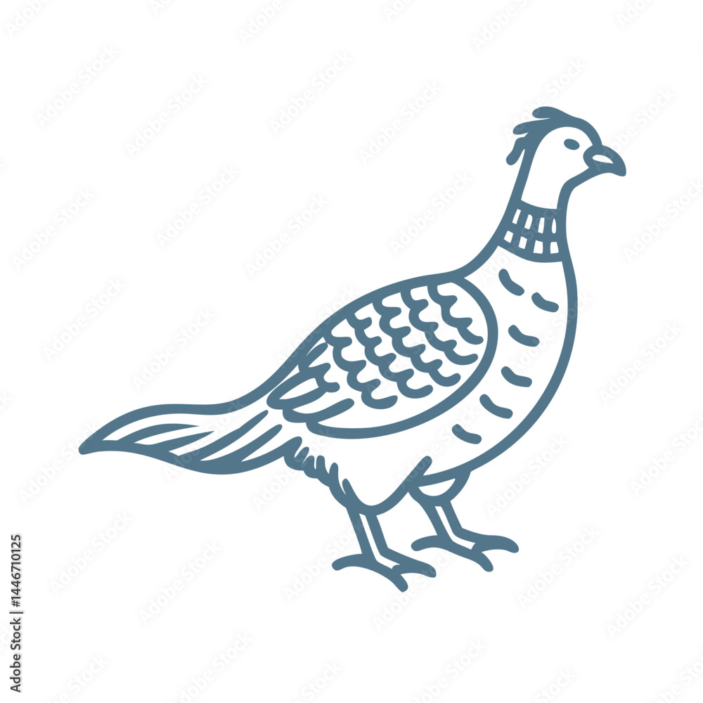 Obraz premium Ring-Necked Pheasant Line Art Illustration