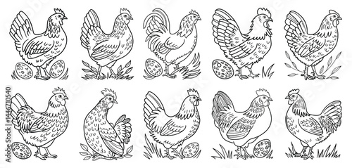 Collection of Line Art Chickens and Roosters with Eggs