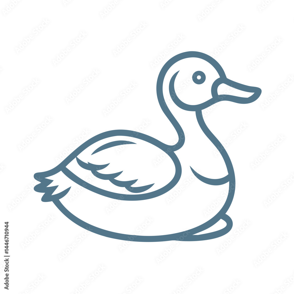 Ruddy Duck Line Art Illustration, Vector Ruddy Duck Line Art Illustration, Vector