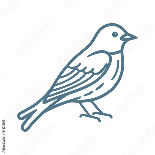 Eastern Phoebe Bird Line Art Illustration